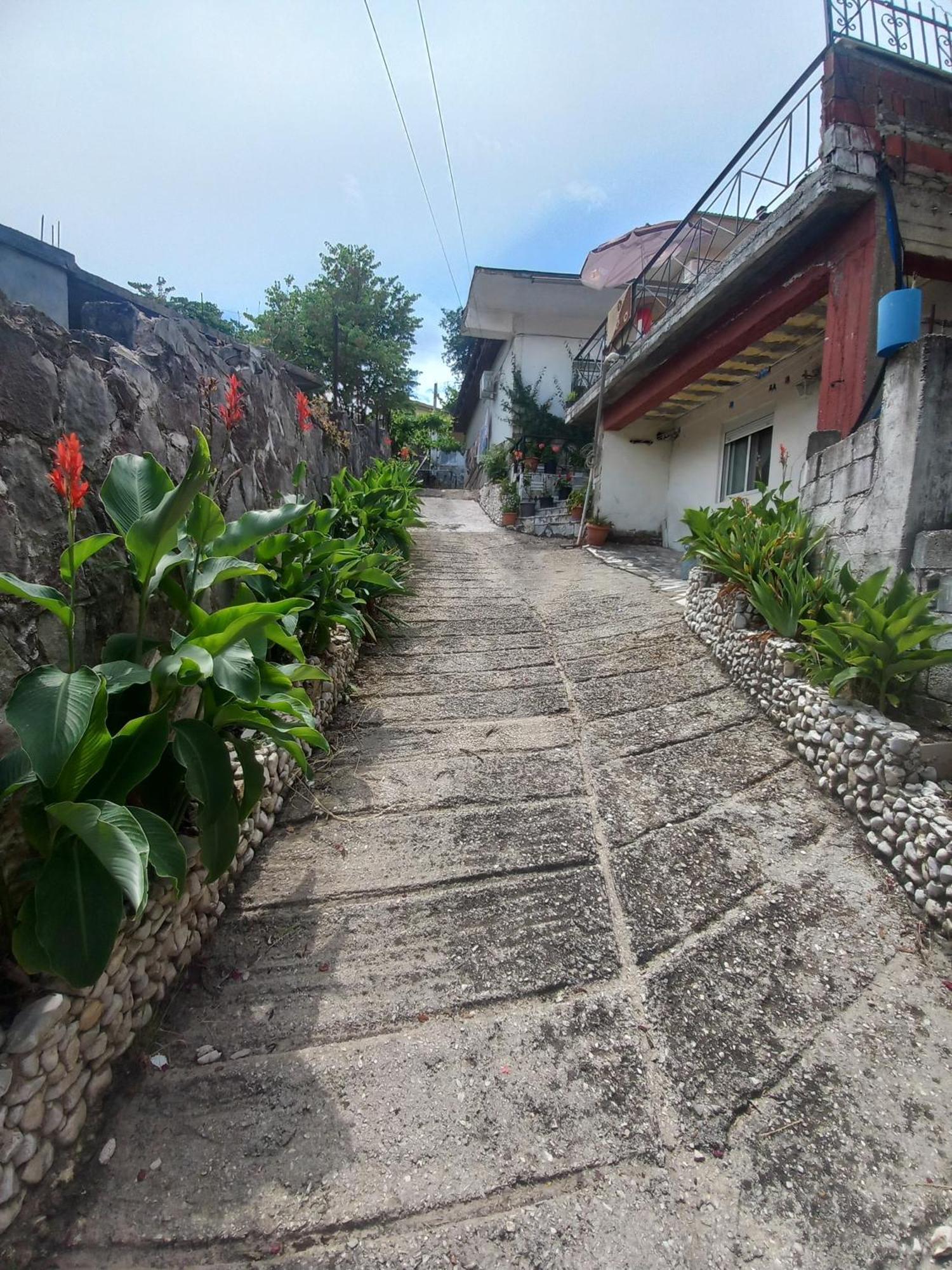 Aleko Guest House จีโรคาสเตอร์ ภายนอก รูปภาพ