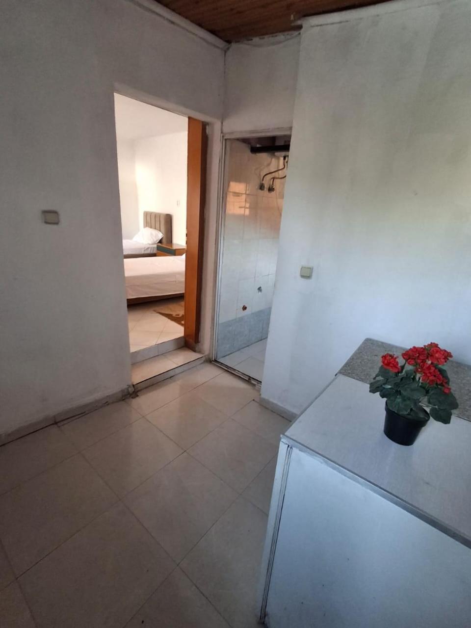 Aleko Guest House จีโรคาสเตอร์ ภายนอก รูปภาพ